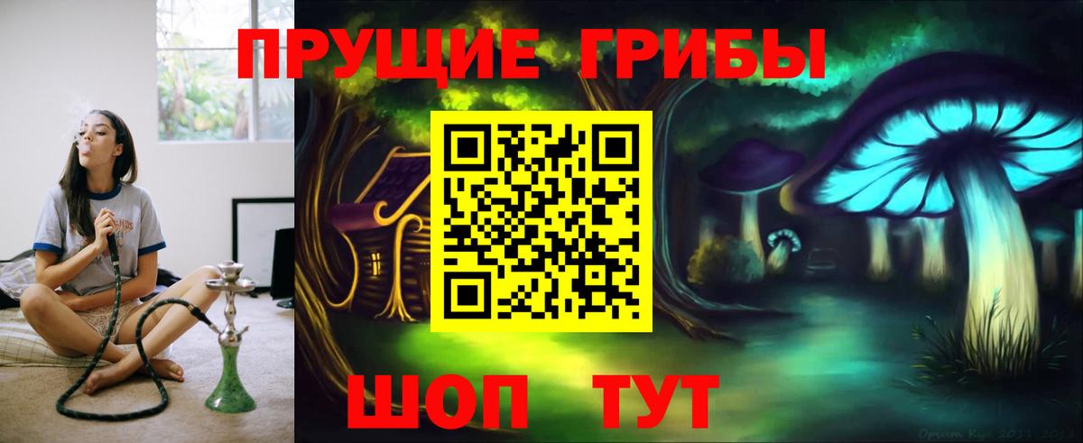 Сосновый Бор  Галлюциногенные грибы мухоморы  Вход с VPN 
